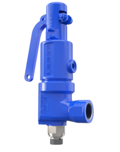 API Safety valves